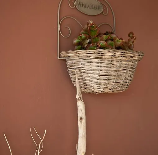 Rosalba 폴리나노 아마레