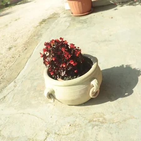 Villa Rosalba *