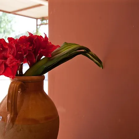 Villa Rosalba *