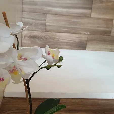 Rosalba * 滨海波利尼亚诺